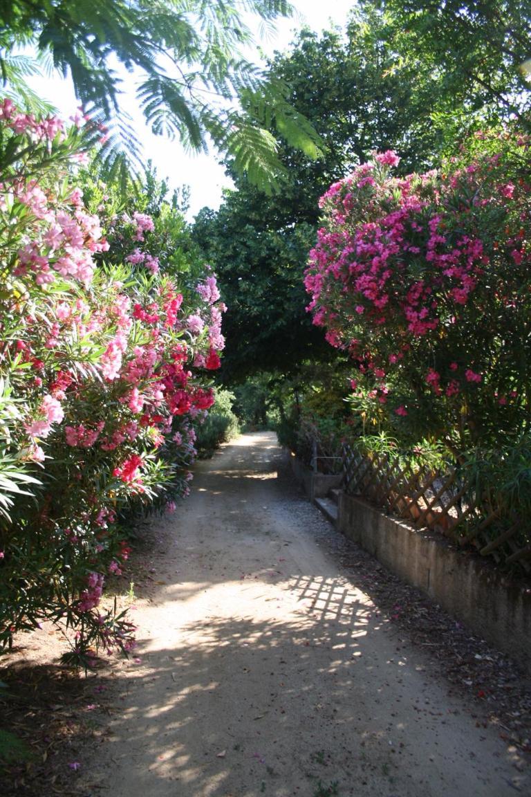 Costa Di Sognu Vila Exterior foto