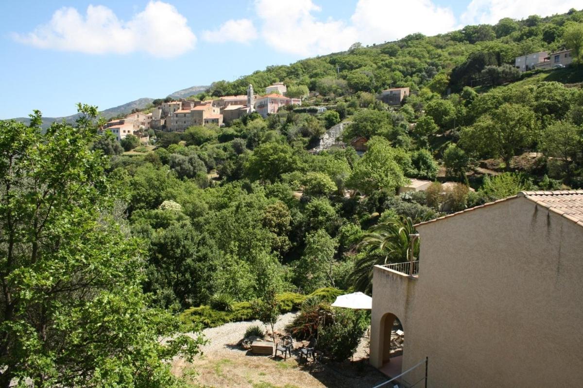 Costa Di Sognu Vila Quarto foto